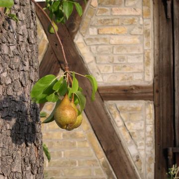 Dammmeisterei Zollbrücke